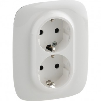 Силовая розетка LEGRAND Valena ALLURE двойная 2х2К+З 16А 250В с лицевой панелью с защитными шторками безвинтовые зажимы белый Силовая розетка LEGRAND Valena ALLURE двойная 2х2К+З 16А 250В с лицевой панелью с защитными шторками безвинтовые зажимы белый